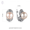 Серьги серебро 52884S1
