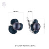 Серьги серебро 52821S2B