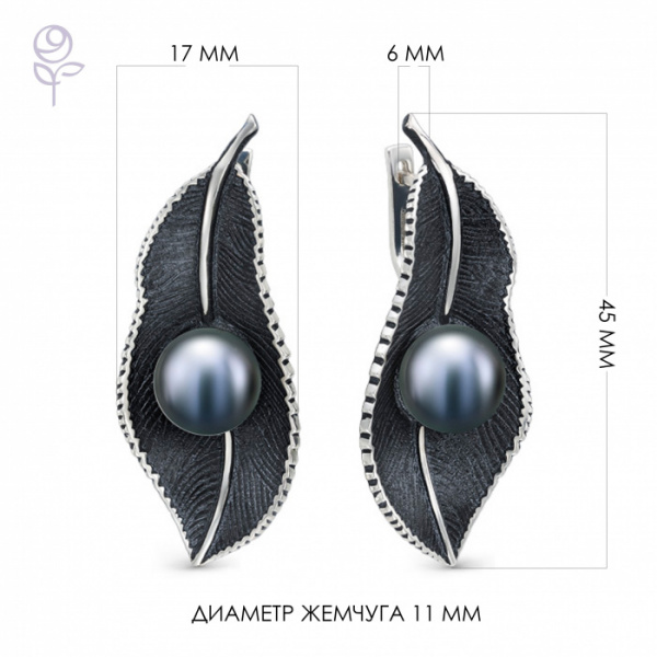 52800S2B Серьги (Ag 925)