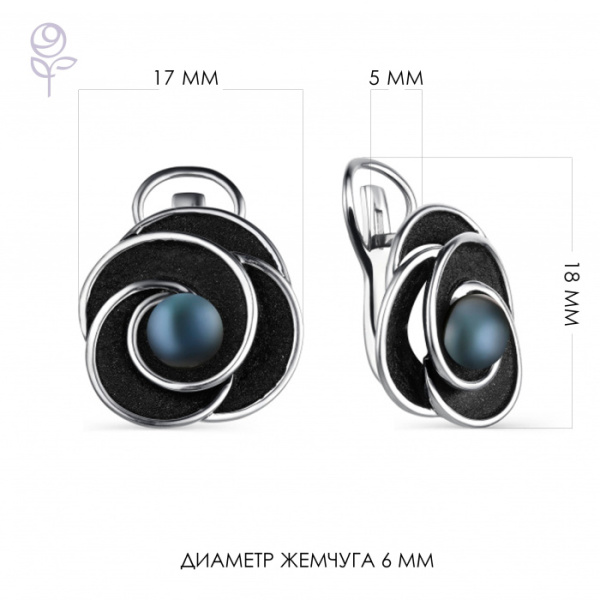Серьги серебро 52857S2B