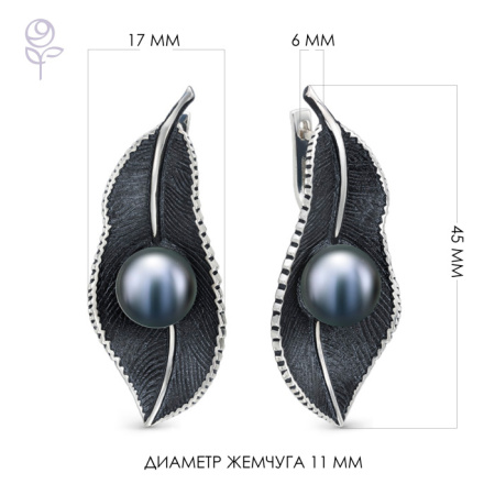 Серьги серебро 52800S2B