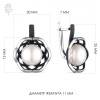 Серьги серебро 52851S1B